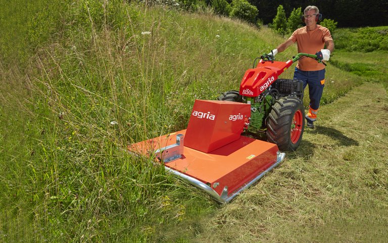 agria 5900 Bison E-Start mit Sichelmulcher
